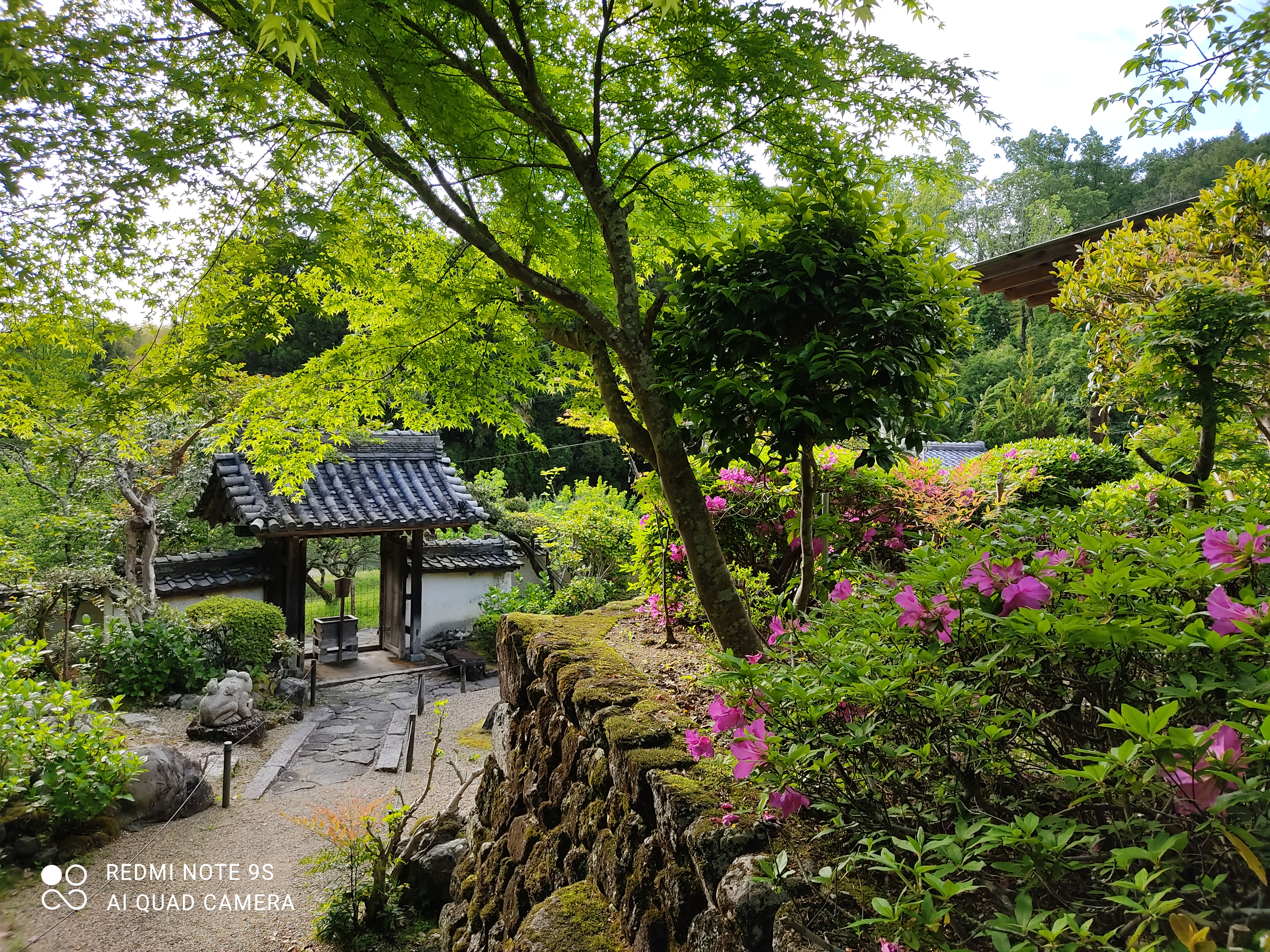 Temple in Nara, a garden with a stone wall and trees