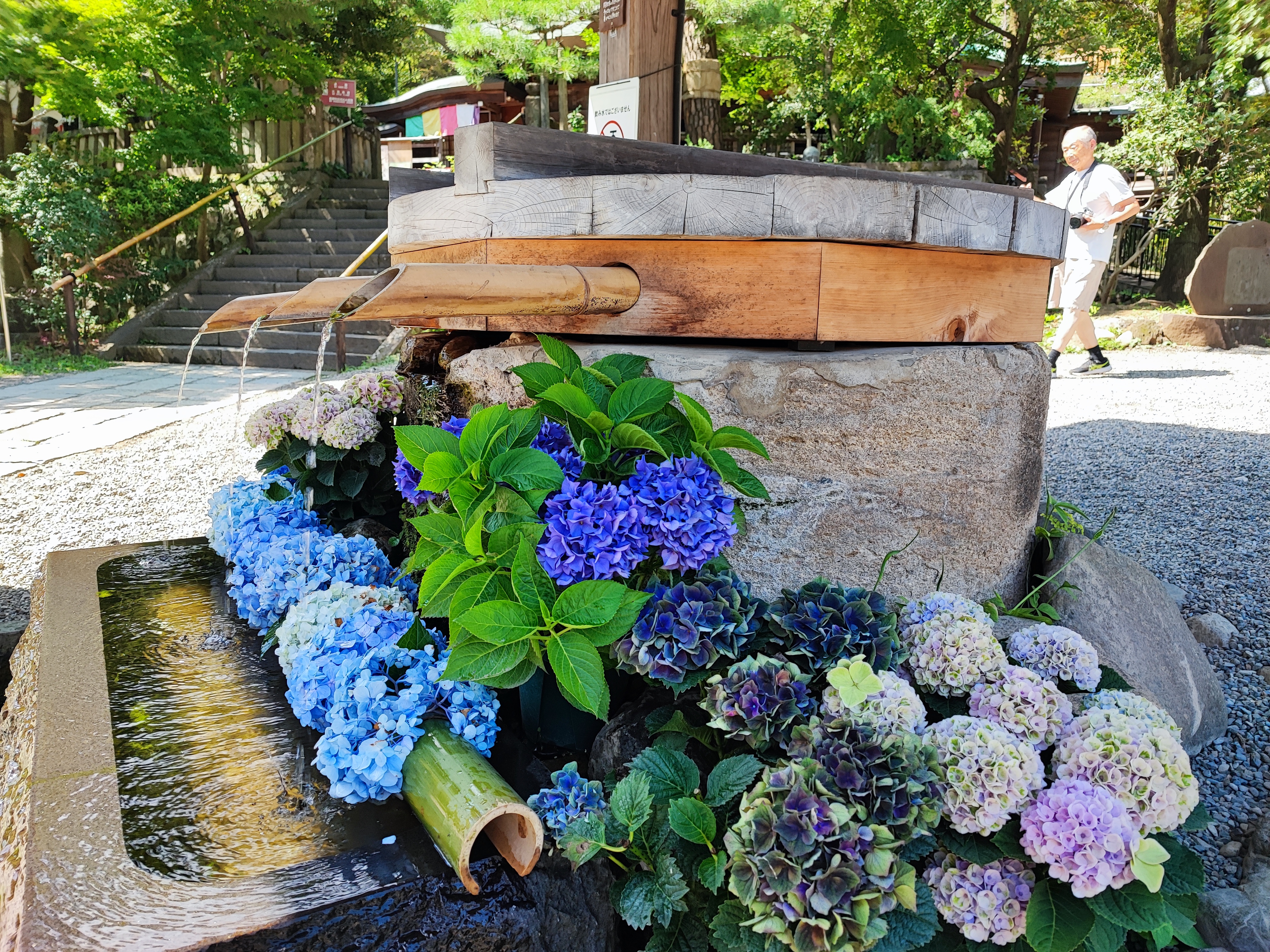 Tokyo, Jindaiji Temple, a bunch of flowers that are by a fountain